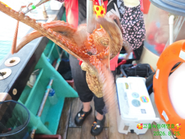 쎄븐피싱클럽(선상 버스출조전문)_사진_20260826_12.jpg