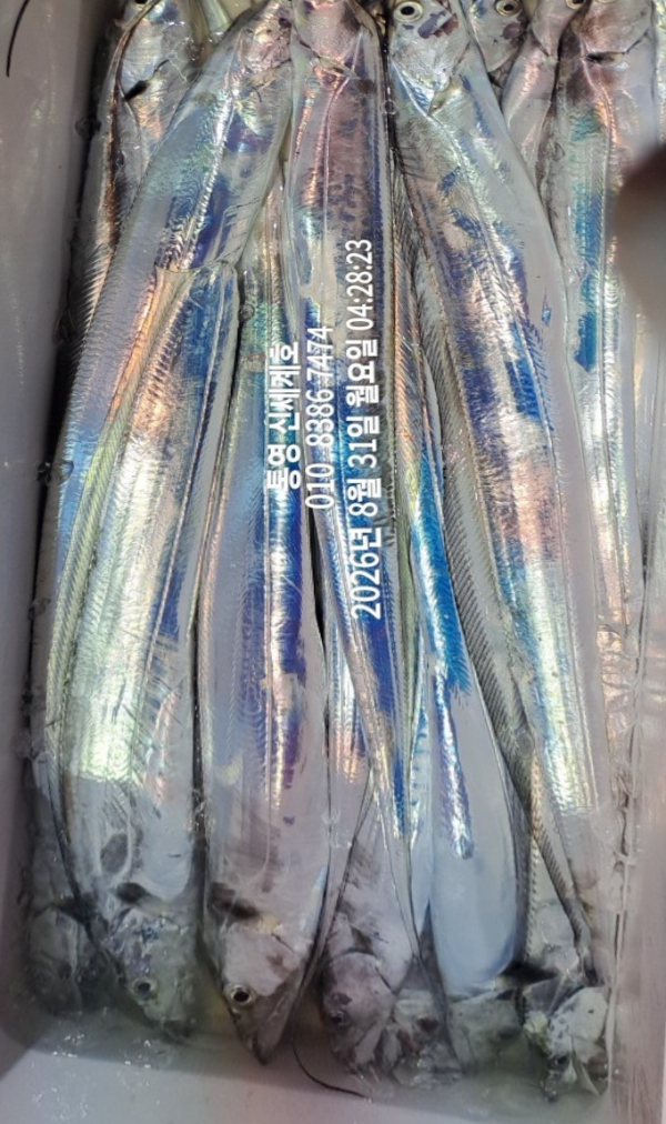 1788130785711.jpg