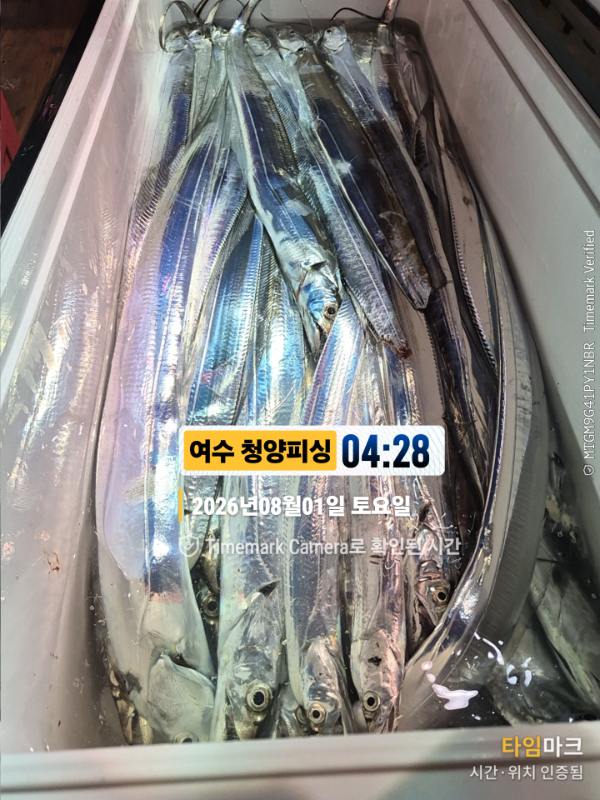 2026-08-01 04.28.19__(제목-여수 청양피싱).jpg