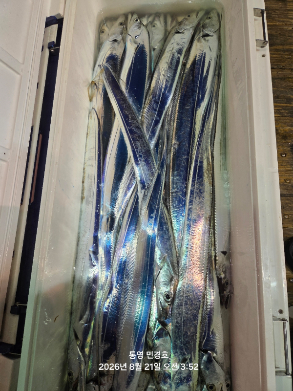 F87572B1-3C0E-4C0E-A54E-440974E35817.jpeg