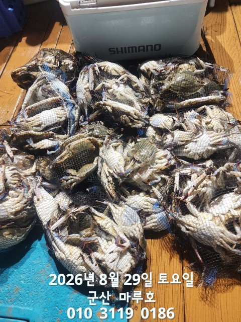 1000014307.jpg