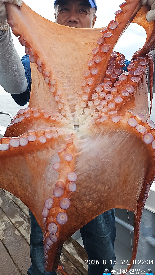 1000020773.jpg