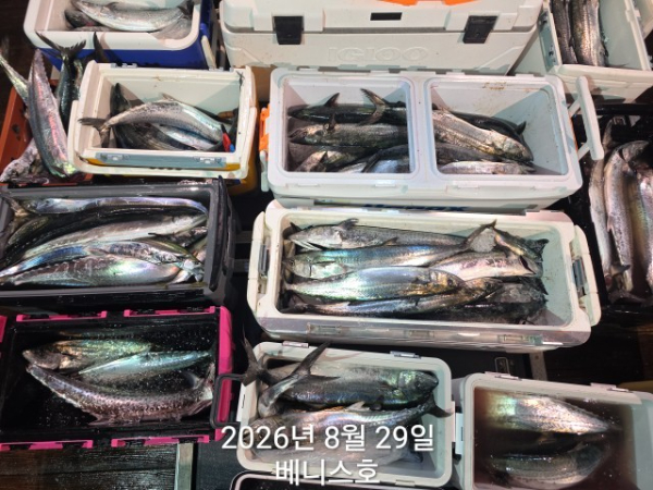 KakaoTalk_20260829_030617203_06.jpg