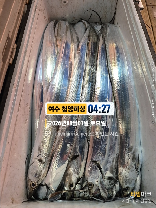2026-08-01 04.27.03__(제목-여수 청양피싱).jpg
