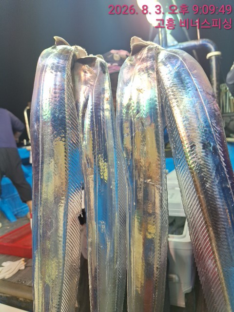 1000054627.jpg
