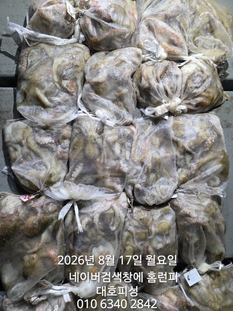 1000016727.jpg