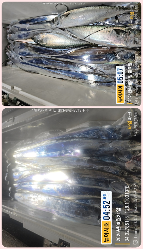 KakaoTalk_20260821_054121446_17-down.jpg