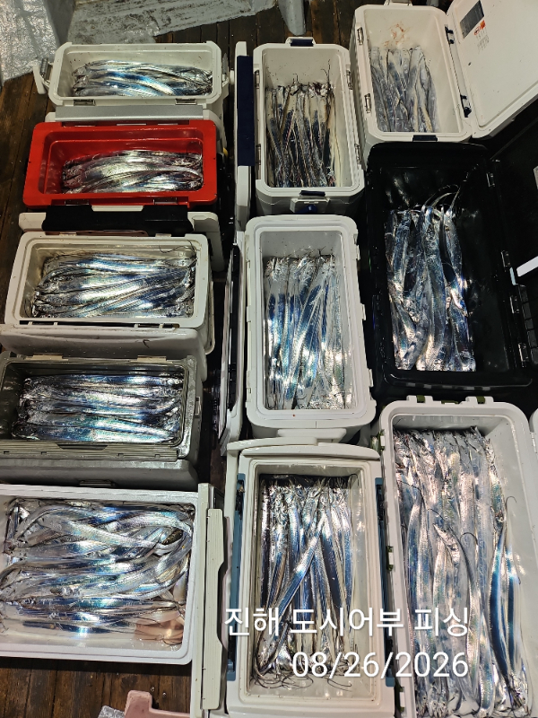 KakaoTalk_20260826_052535049_06.jpg