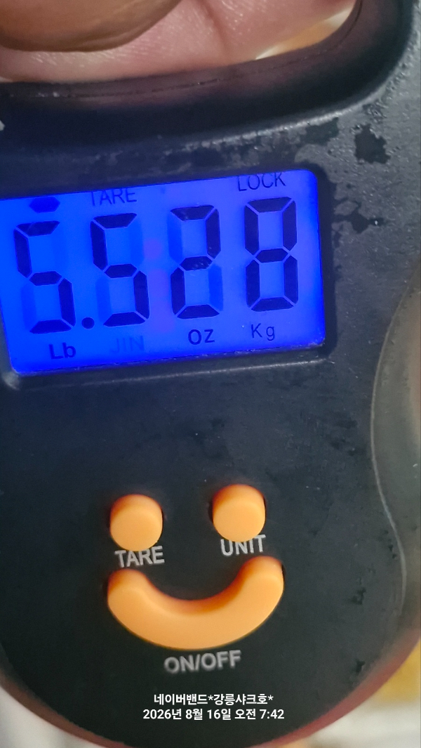 1786861484041.jpg