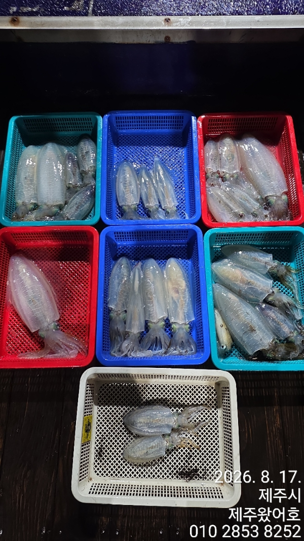 제주왔어호_사진_20260818_18.jpg
