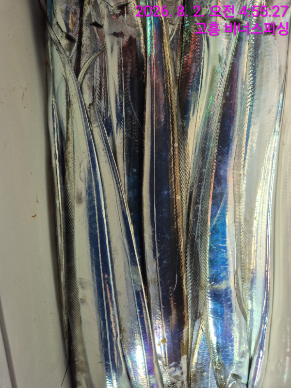 1000054517.jpg