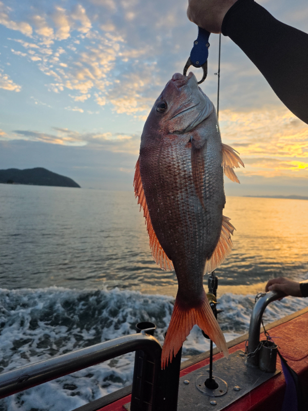KakaoTalk_20260815_021246160_16.jpg