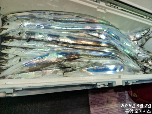 80043.jpg