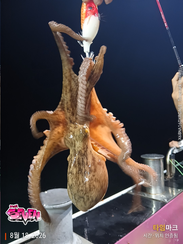 KakaoTalk_20260819_064316929_05.jpg