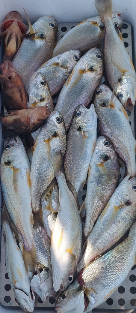 1000009676.jpg