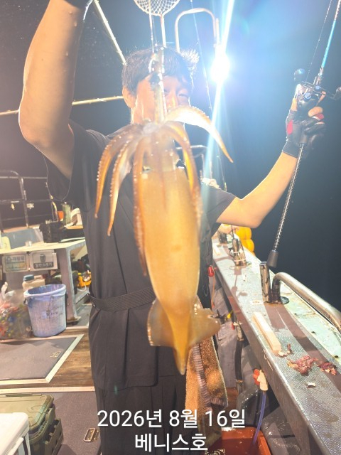 KakaoTalk_20260817_054949740_12.jpg