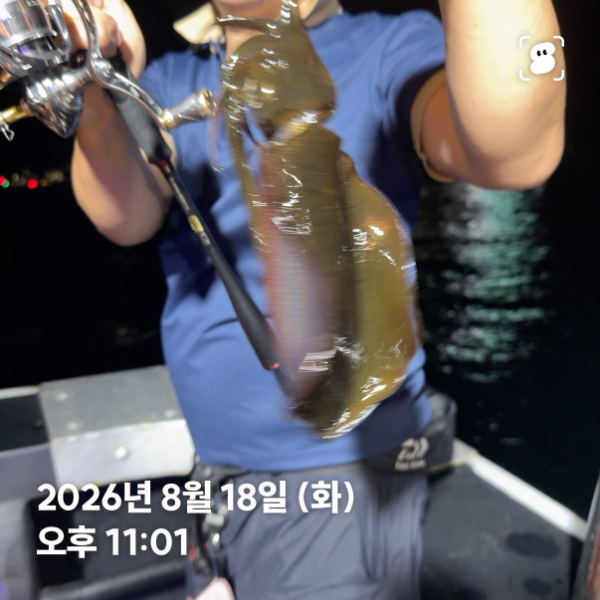 신신낚시 강구점 신신호_사진_20260819_19.jpg