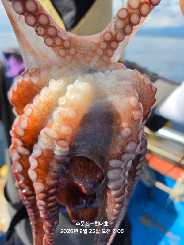 A776183F-B270-4EC6-A37E-8AF25D5B48E7.jpeg