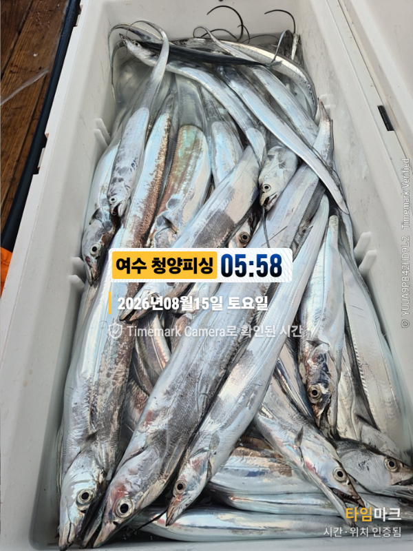 2026-08-15 05.58.25__(제목-여수 청양피싱).jpg