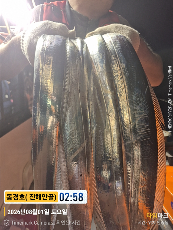 2026-08-01 02.58.10__(제목-동경호( 진해안골)).jpg