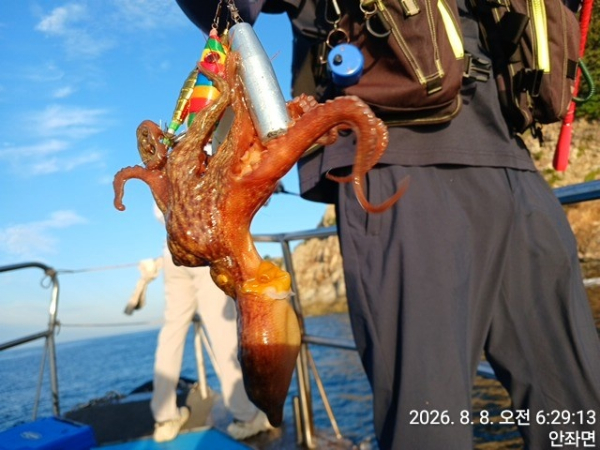 KakaoTalk_20260808_082423732.jpg