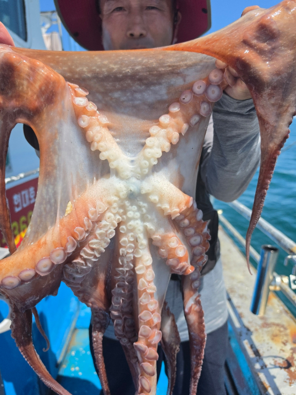 7EED243B-0F55-4276-835B-1EC7AC018CD1.jpeg
