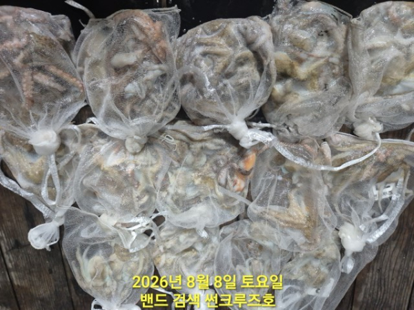 6040.jpg