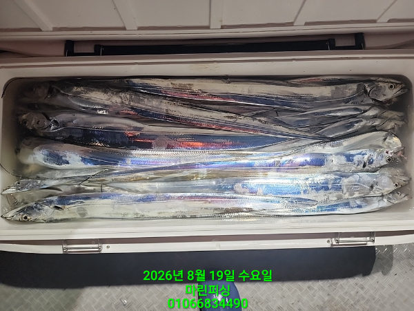 KakaoTalk_20260819_082359906_24.jpg