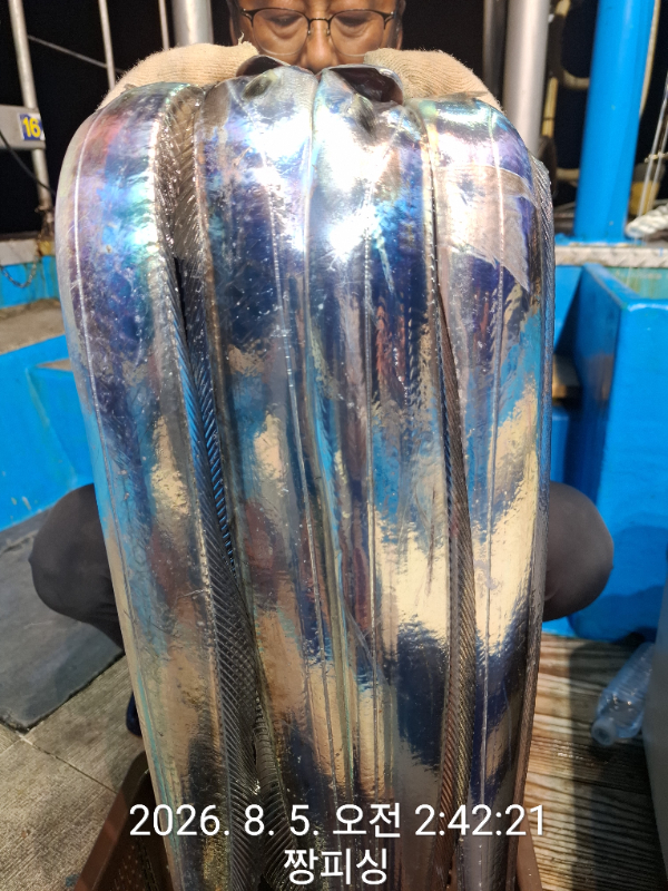 1000081430.jpg