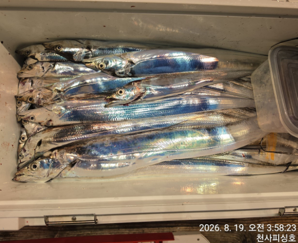 1004피싱_사진_20260819_5.jpg