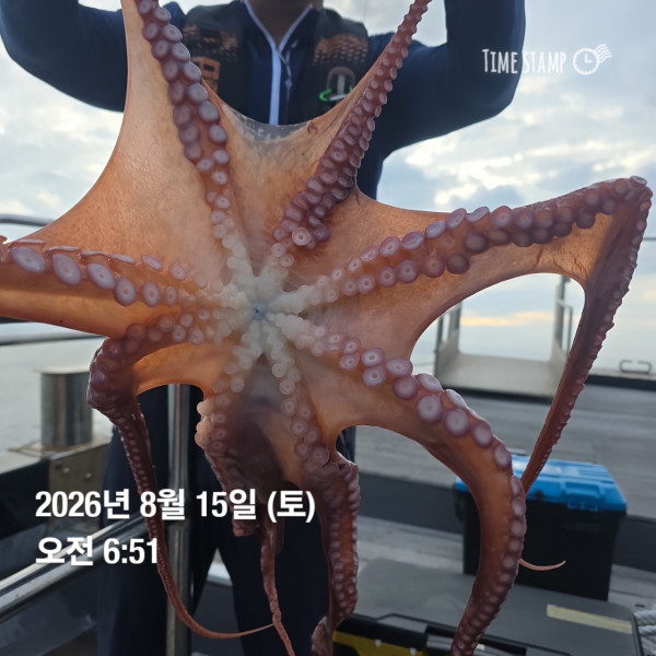 공현진낚시마트(돌핀호)_사진_20260815_2.jpg