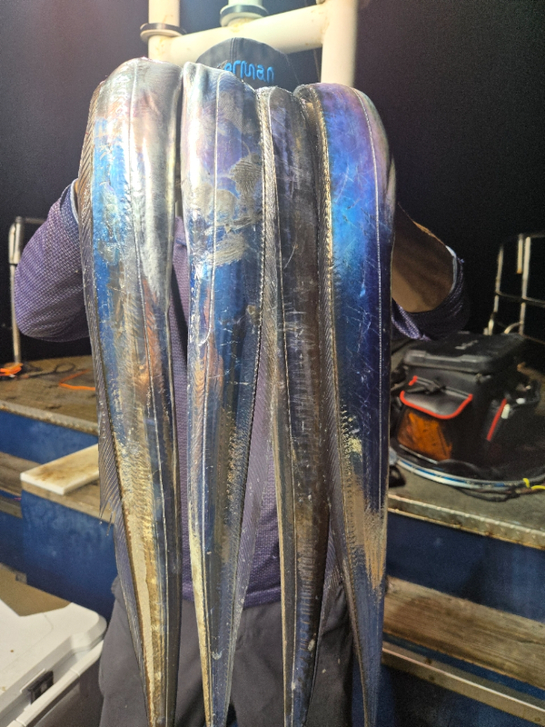 BandPhoto_2026_08_24_07_58_02.jpg