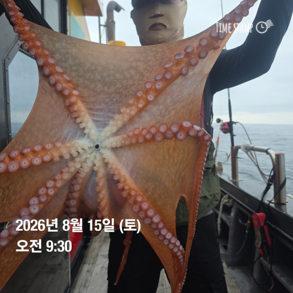 공현진낚시마트(돌핀호)_사진_20260815_8.jpg