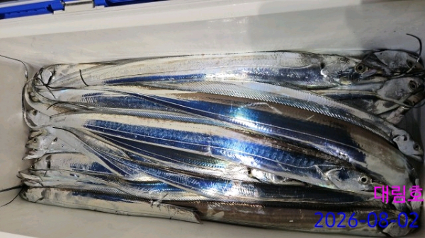 1000016624.jpg