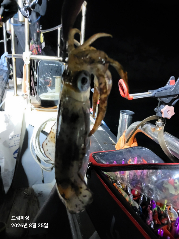 BandPhoto_2026_08_26_02_08_28_9.jpg