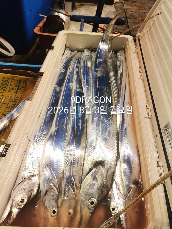9D5ED7D4-97F4-4163-AA39-F4992815CDF0.jpeg