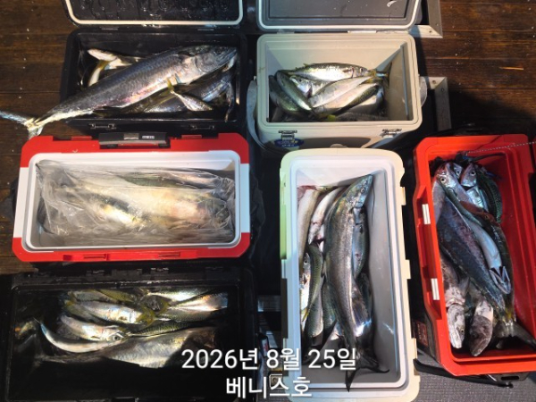 KakaoTalk_20260825_032543266.jpg