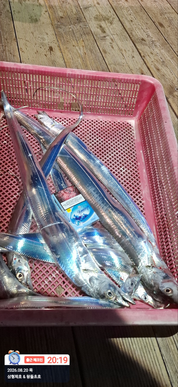 KakaoTalk_20260821_155429217_18.jpg