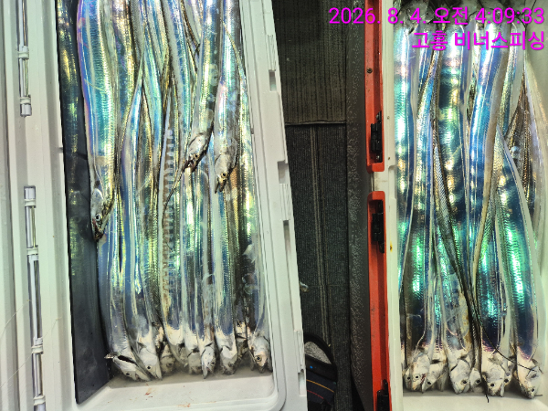 1000054613.jpg