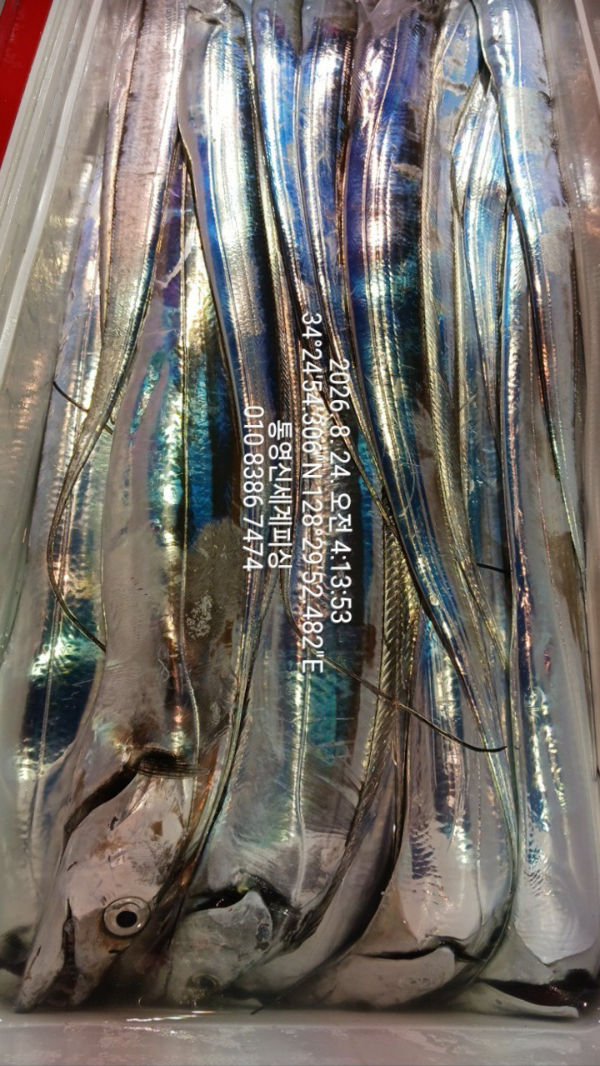 1787519685278.jpg