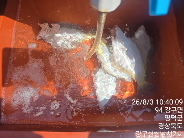 신신낚시 강구점 신신호_사진_20260803_11.jpg