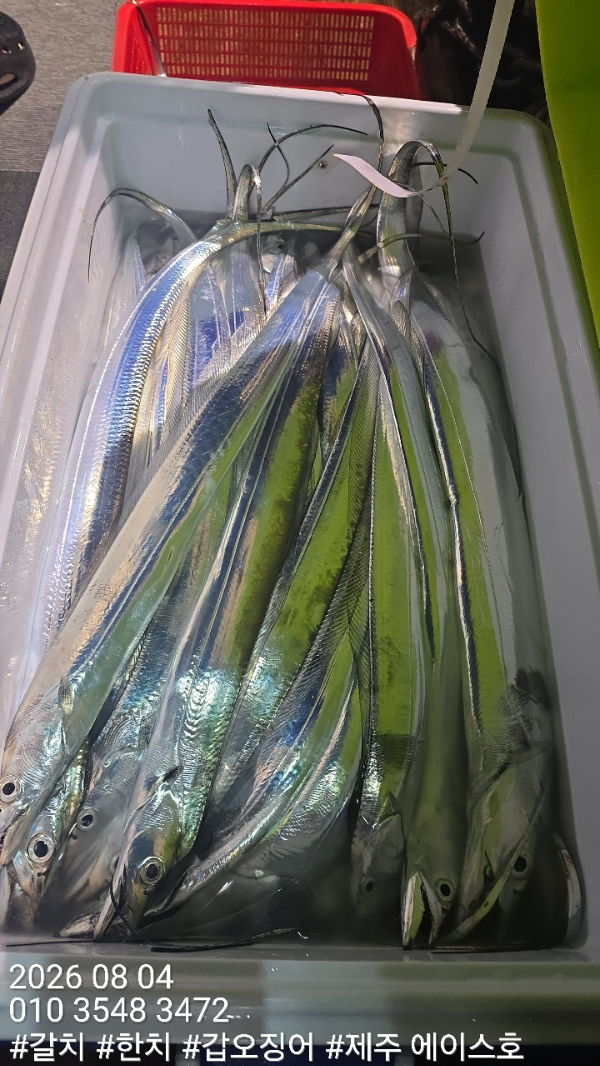 KakaoTalk_20260804_132508503_03.jpg