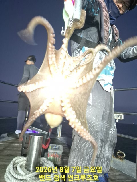 6049.jpg