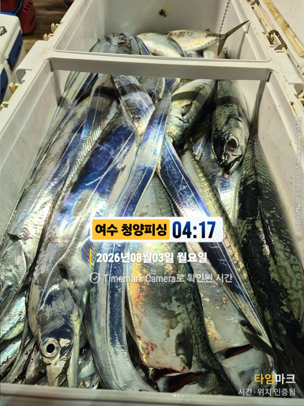 2026-08-03 04.17.19__(제목-여수 청양피싱).jpg