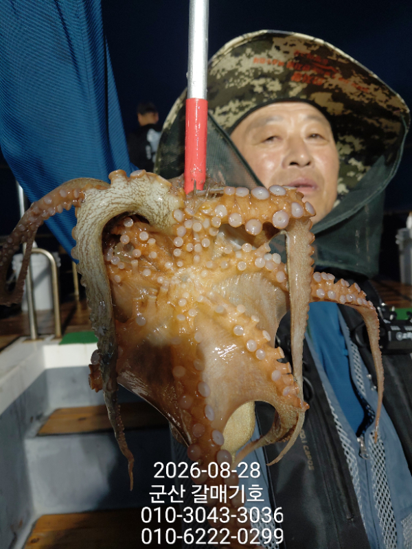 6936.jpg