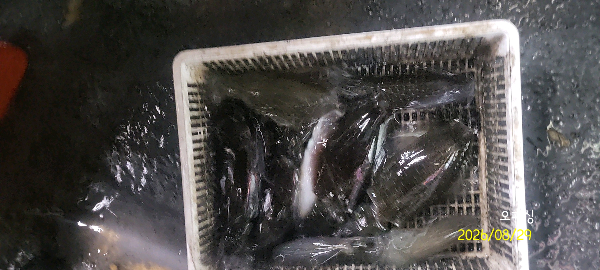 DateCamera0829232920.jpg