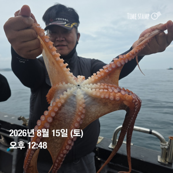 공현진낚시마트(돌핀호)_사진_20260815_15.jpg