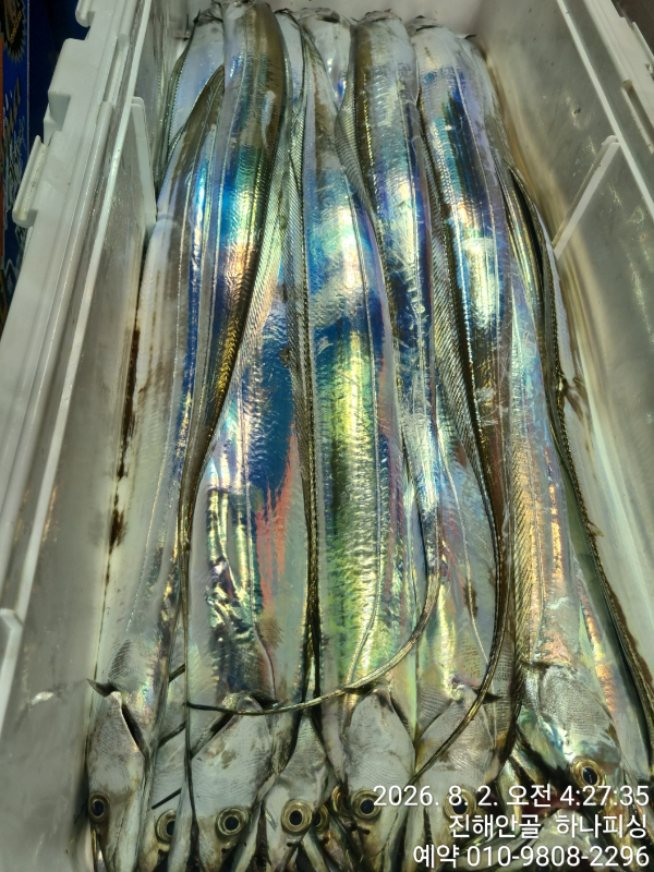 100159.jpg