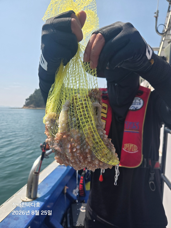 KakaoTalk_20260825_152808097.jpg
