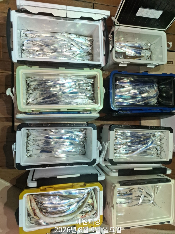 1000036496.jpg